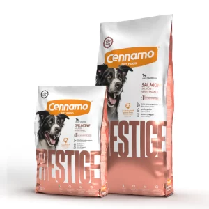PRESTIGE Dog Adult Maintenance Medium Salmone